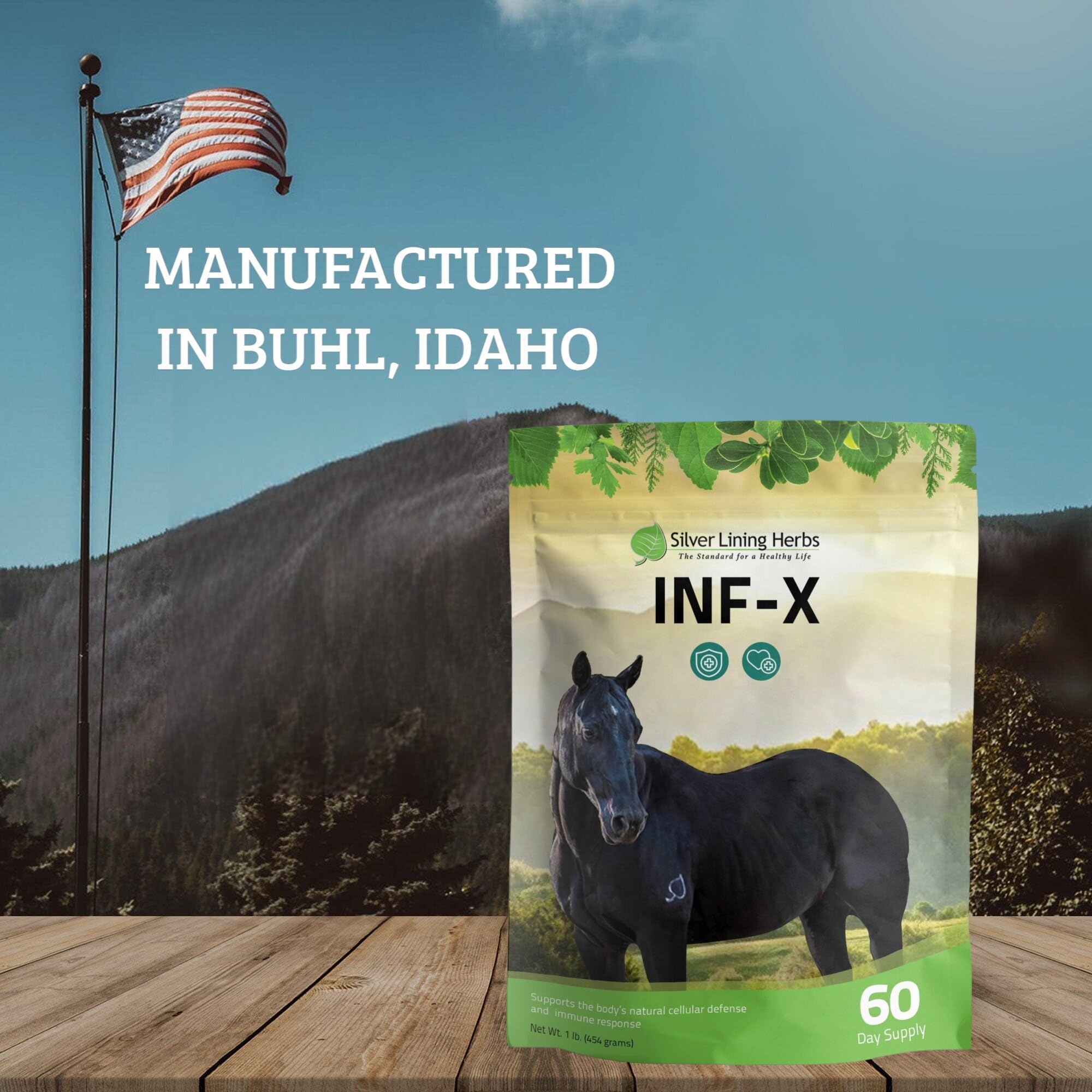 Silver Lining Herbs Equine INF-X - Supports Horse Stress Relief and Healthy Levels of Good Bacteria - Natural Support for Equine